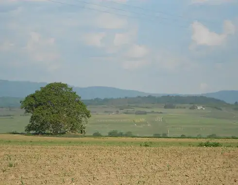 Venez à la découverte de l'Alsace