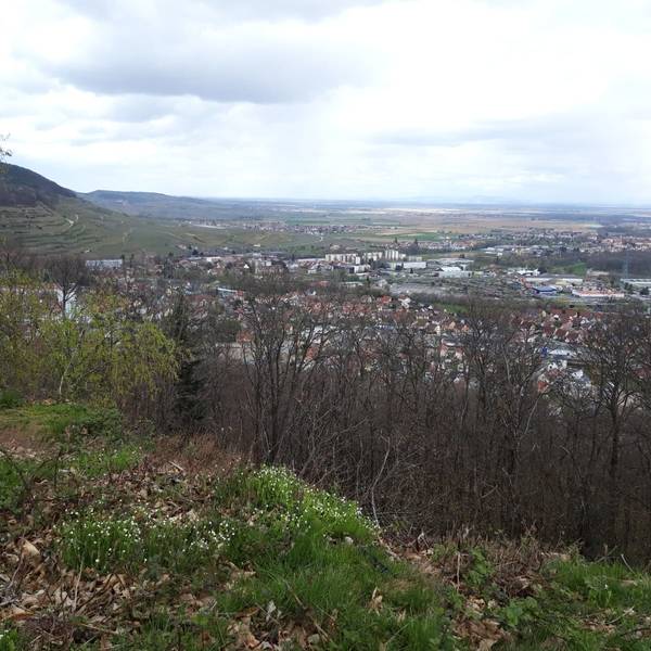 Les gites de la ferme