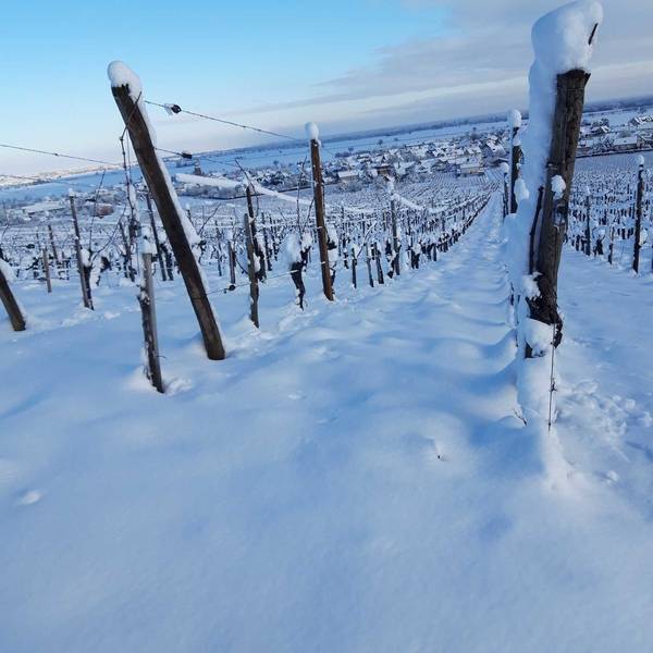 Les gites de la ferme