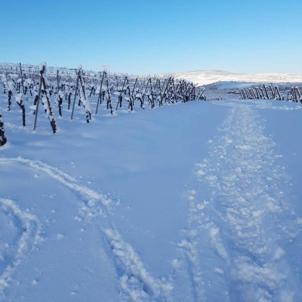 Les gites de la ferme