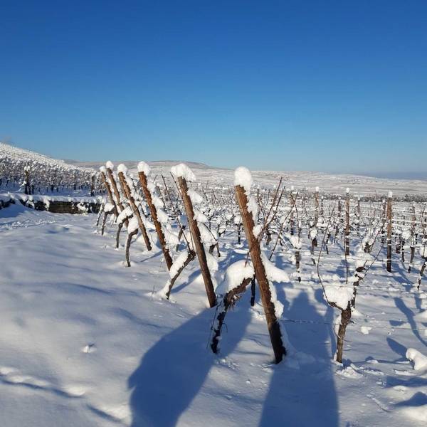 Les gites de la ferme