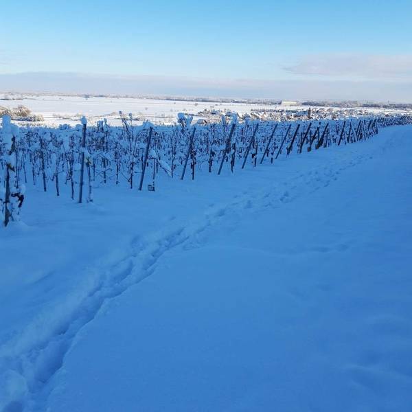Les gites de la ferme