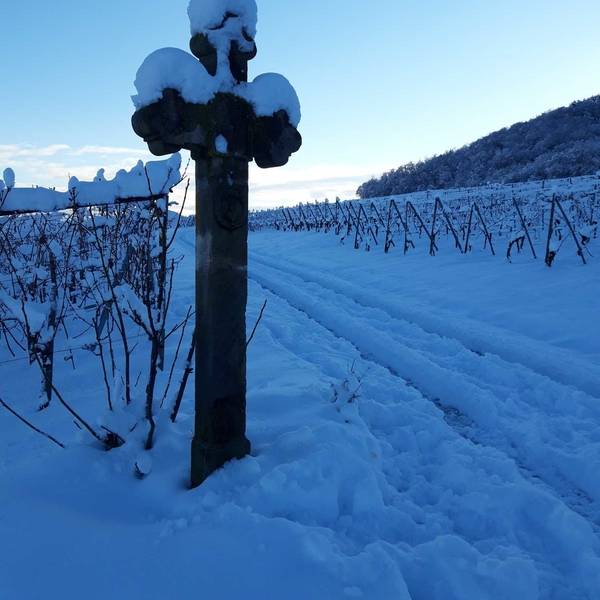 Les gites de la ferme