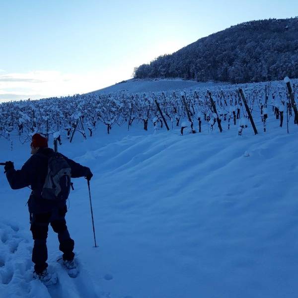 Les gites de la ferme